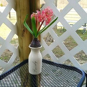 Spring Flower's & Vase